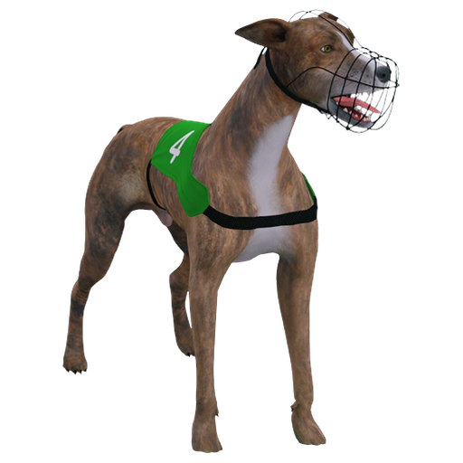 Galgo